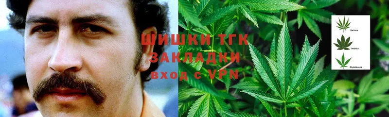 цена наркотик  Николаевск  Конопля OG Kush 